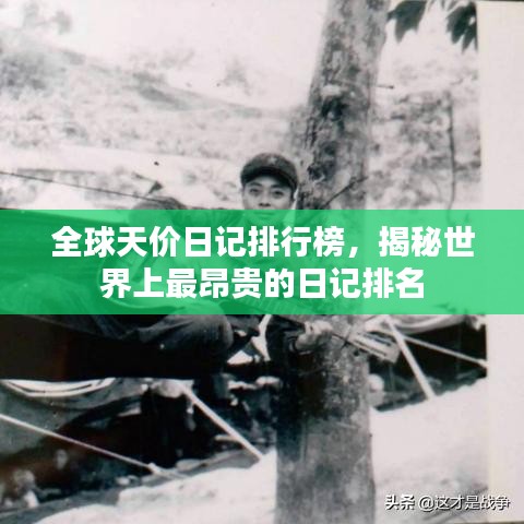 全球天价日记排行榜,揭秘世界上最昂贵的日记排名