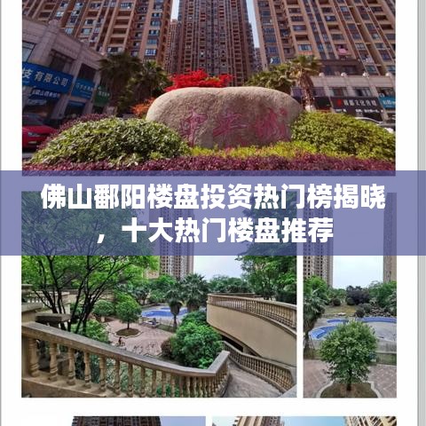 佛山鄱阳楼盘投资热门榜揭晓,十大热门楼盘推荐