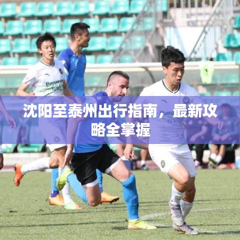 沈阳至泰州出行指南，最新攻略全掌握