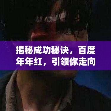 揭秘成功秘诀,百度年年红,引领你走向辉煌之路