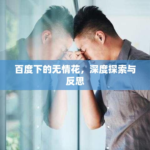 百度下的无情花,深度探索与反思