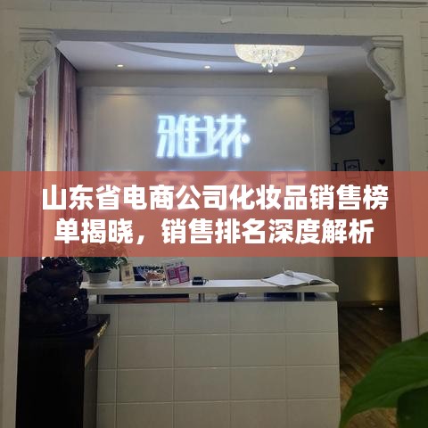山东省电商公司化妆品销售榜单揭晓,销售排名深度解析
