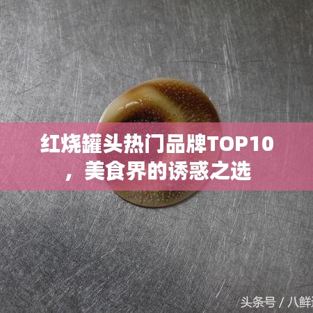 红烧罐头热门品牌TOP10,美食界的诱惑之选