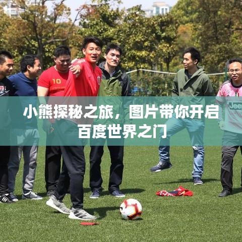 小熊探秘之旅,图片带你开启百度世界之门