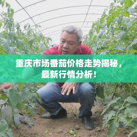 萍水相逢 第4页