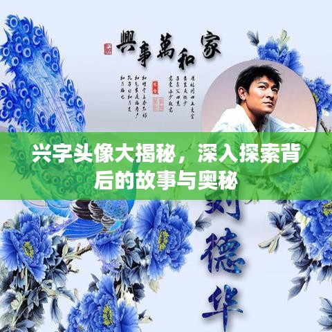 兴字头像大揭秘,深入探索背后的故事与奥秘