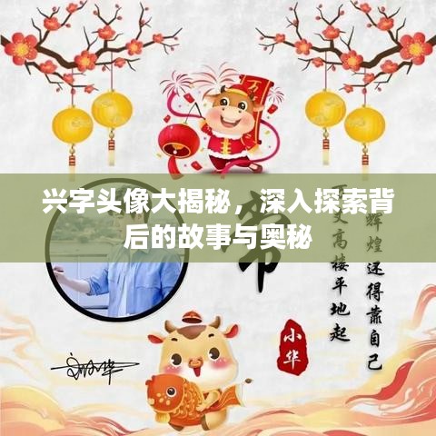 兴字头像大揭秘,深入探索背后的故事与奥秘