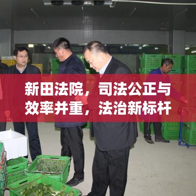 新田法院,司法公正与效率并重,法治新标杆亮相