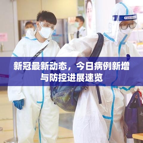 新冠最新动态,今日病例新增与防控进展速览