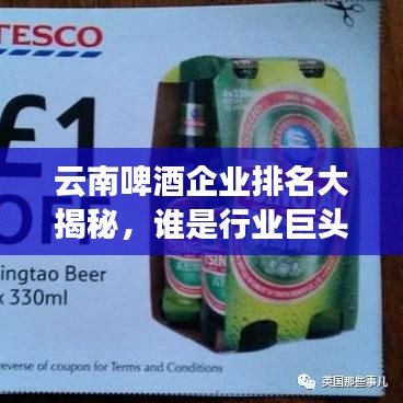 云南啤酒企业排名大揭秘，谁是行业巨头？