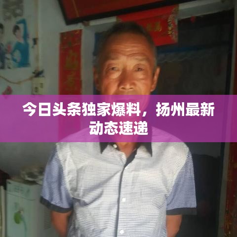 今日头条独家爆料，扬州最新动态速递