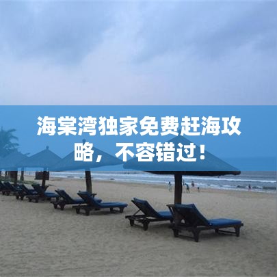 海棠湾独家免费赶海攻略,不容错过!