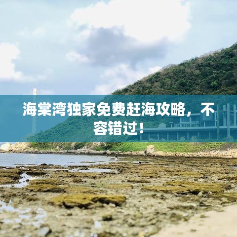 海棠湾独家免费赶海攻略,不容错过!