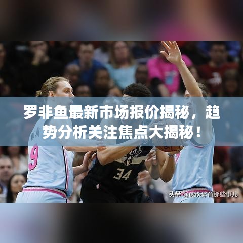 罗非鱼最新市场报价揭秘,趋势分析关注焦点大揭秘!