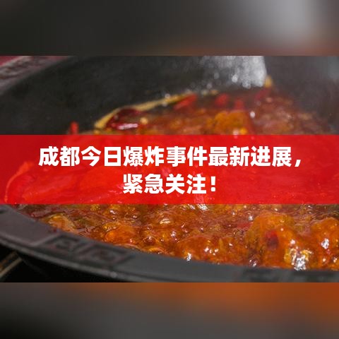 成都今日爆炸事件最新进展,紧急关注!