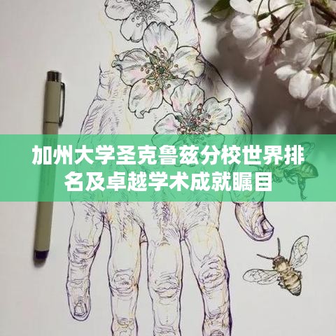 加州大学圣克鲁兹分校世界排名及卓越学术成就瞩目