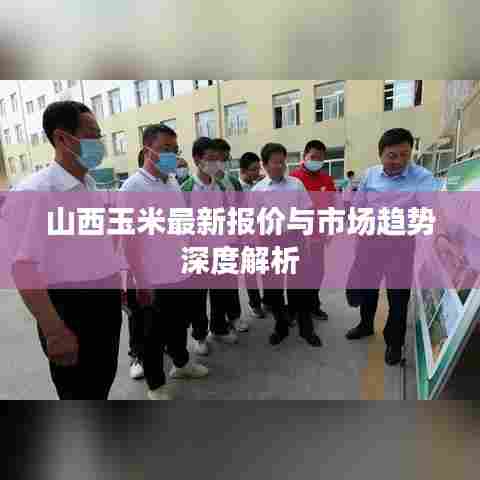 山西玉米最新报价与市场趋势深度解析