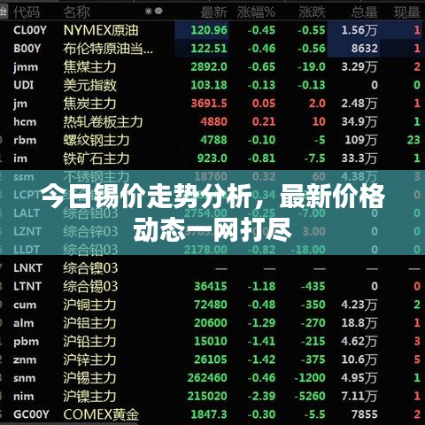 今日锡价走势分析,最新价格动态一网打尽