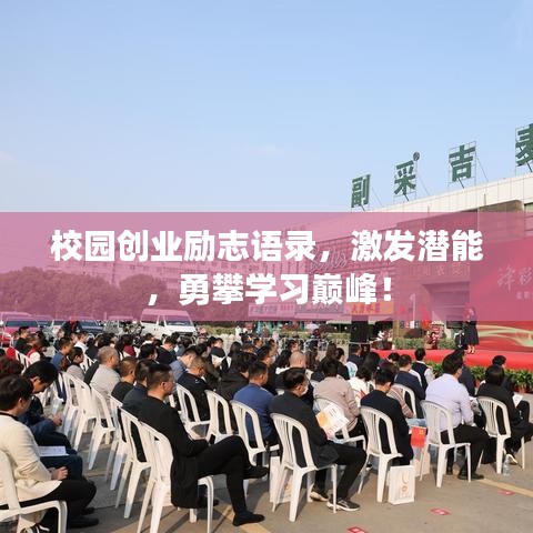 校园创业励志语录,激发潜能,勇攀学习巅峰!