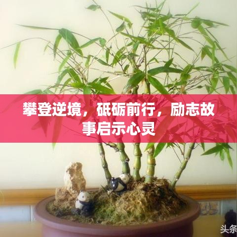 攀登逆境,砥砺前行,励志故事启示心灵