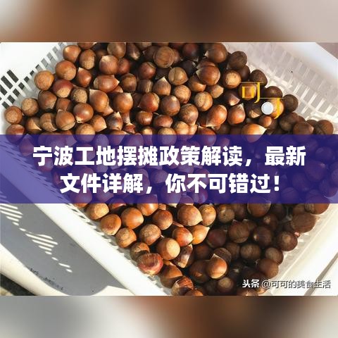 宁波工地摆摊政策解读,最新文件详解,你不可错过!