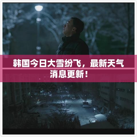 韩国今日大雪纷飞,最新天气消息更新!