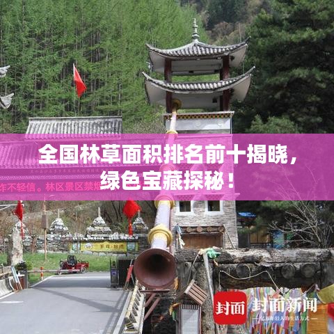 全国林草面积排名前十揭晓,绿色宝藏探秘!