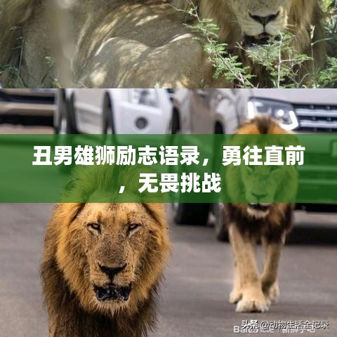 丑男雄狮励志语录,勇往直前,无畏挑战