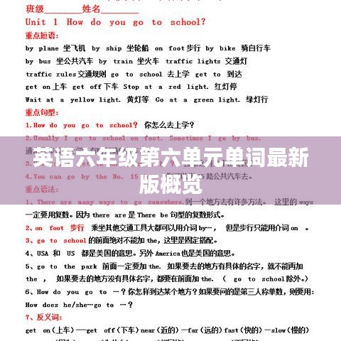 英语六年级第六单元单词最新版概览