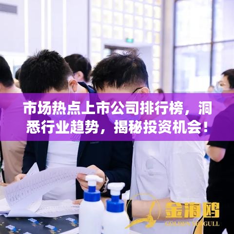市场热点上市公司排行榜,洞悉行业趋势,揭秘投资机会!
