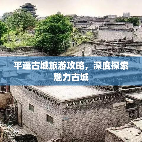 雍荣闲雅 第4页