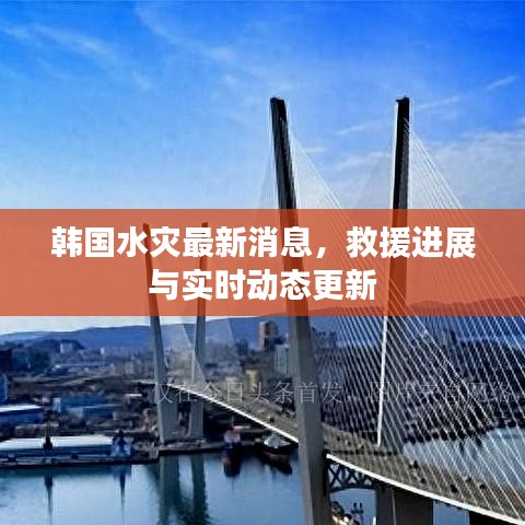 韩国水灾最新消息,救援进展与实时动态更新