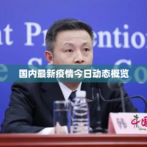 国内最新疫情今日动态概览