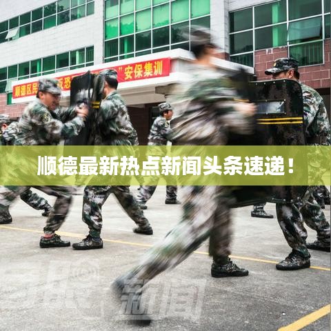 顺德最新热点新闻头条速递!