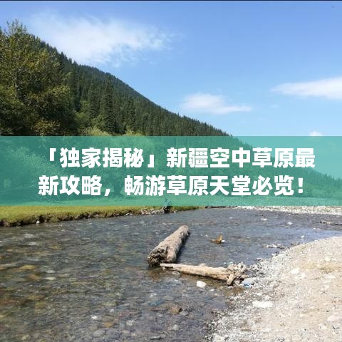 「独家揭秘」新疆空中草原最新攻略,畅游草原天堂必览!