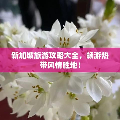 新加坡旅游攻略大全,畅游热带风情胜地!