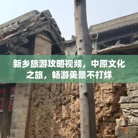 新乡旅游攻略视频,中原文化之旅,畅游美景不打烊
