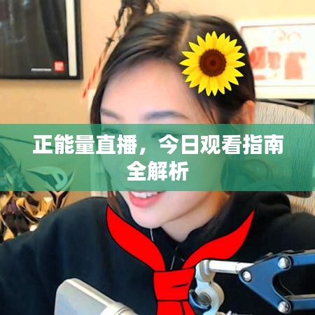 正能量直播,今日观看指南全解析
