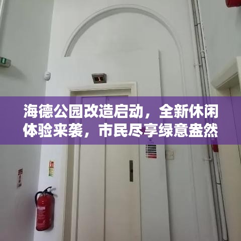 海德公园改造启动,全新休闲体验来袭,市民尽享绿意盎然时光