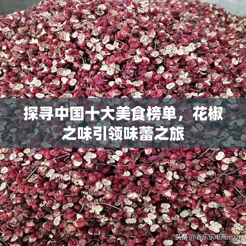 探寻中国十大美食榜单,花椒之味引领味蕾之旅