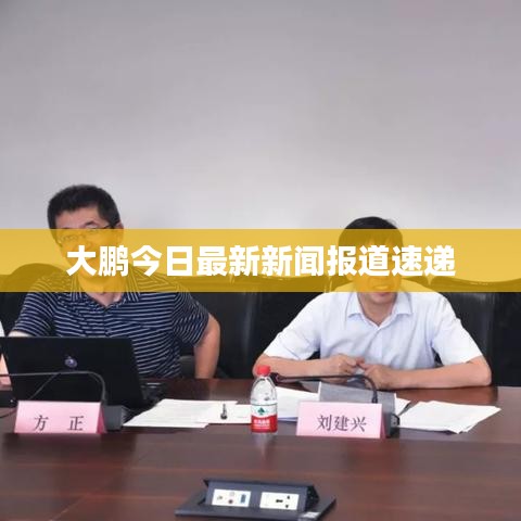 大鹏今日最新新闻报道速递