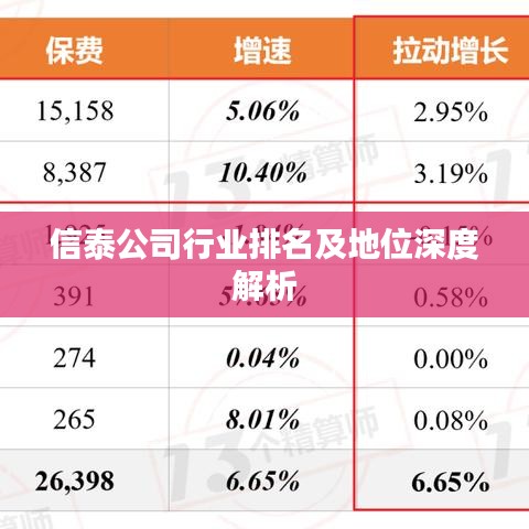 信泰公司行业排名及地位深度解析