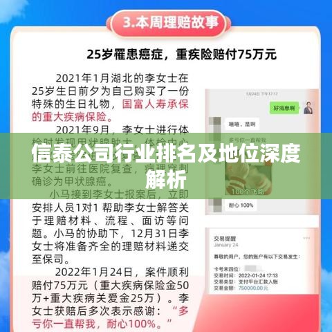 信泰公司行业排名及地位深度解析