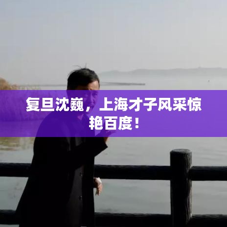 复旦沈巍,上海才子风采惊艳百度!