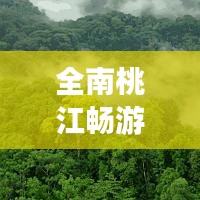 全南桃江畅游指南，秘境之旅，醉美风光一网打尽！