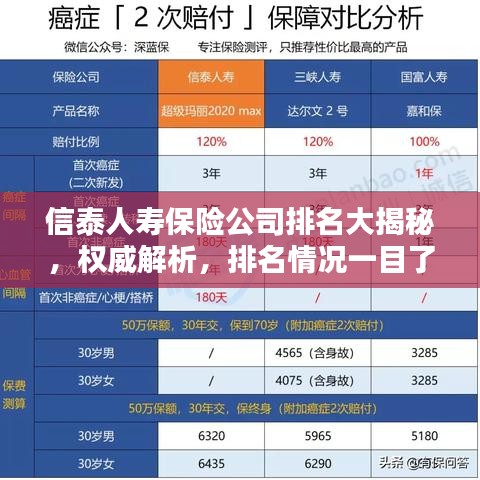 信泰人寿保险公司排名大揭秘，权威解析，排名情况一目了然！