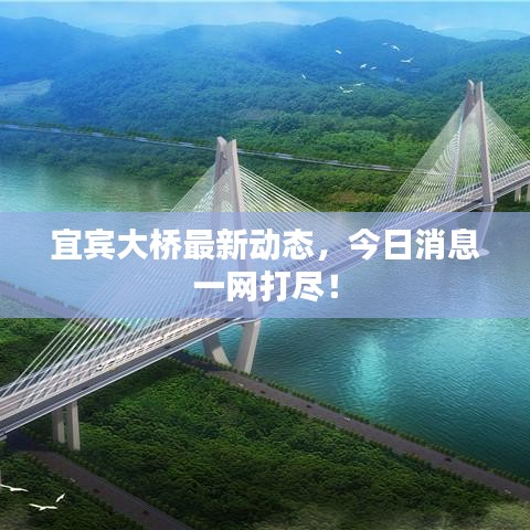 宜宾大桥最新动态，今日消息一网打尽！