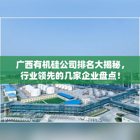 广西有机硅公司排名大揭秘,行业领先的几家企业盘点!