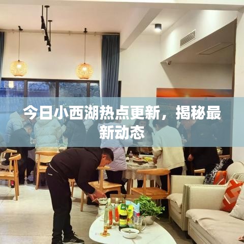 今日小西湖热点更新,揭秘最新动态