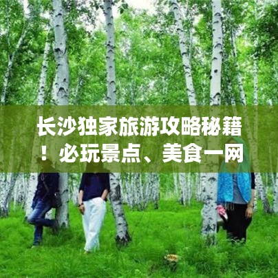 长沙独家旅游攻略秘籍!必玩景点、美食一网打尽!